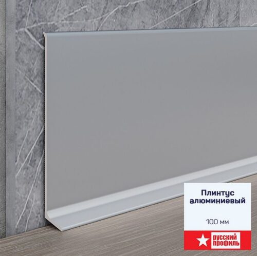 Плинтус алюминиевый напольный L -образный, высота 100 мм, длина 250 см, Серебро матовое, 2 шт