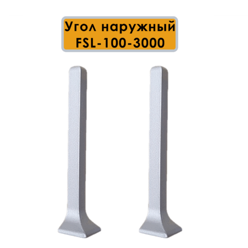 OUT-FSL-100-3000-SILVER