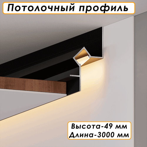 PLINTUS-PK-49-3000-BLACK