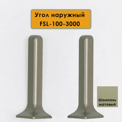 OUT-FSL-100-3000-SHAMPANE